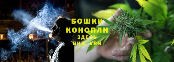 ПСИЛОЦИБИНОВЫЕ ГРИБЫ Горняк