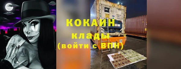 ПСИЛОЦИБИНОВЫЕ ГРИБЫ Горняк