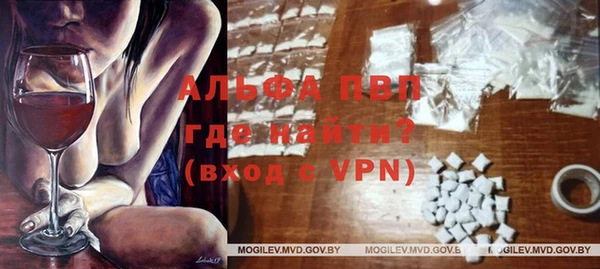ПСИЛОЦИБИНОВЫЕ ГРИБЫ Горняк