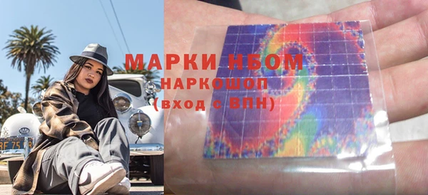 ПСИЛОЦИБИНОВЫЕ ГРИБЫ Горняк